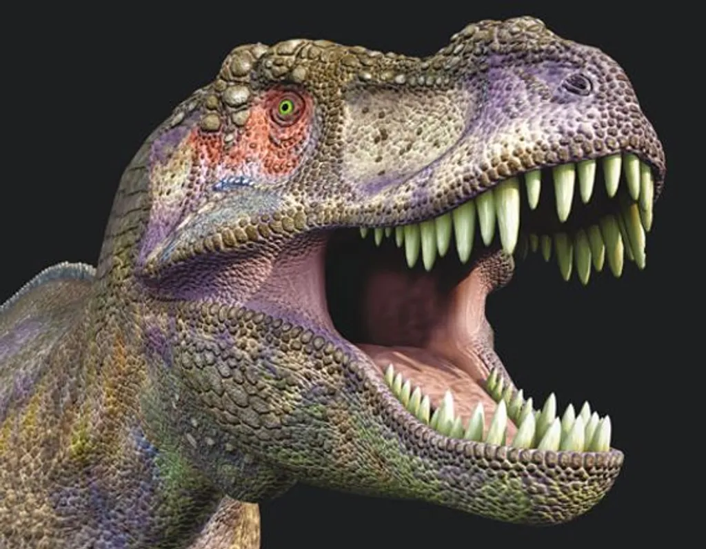 3 D Magnet Dinosaurier Kopf, 9 x 7 cm, Tier  T Rex, Kühlschrankmagnete Dino